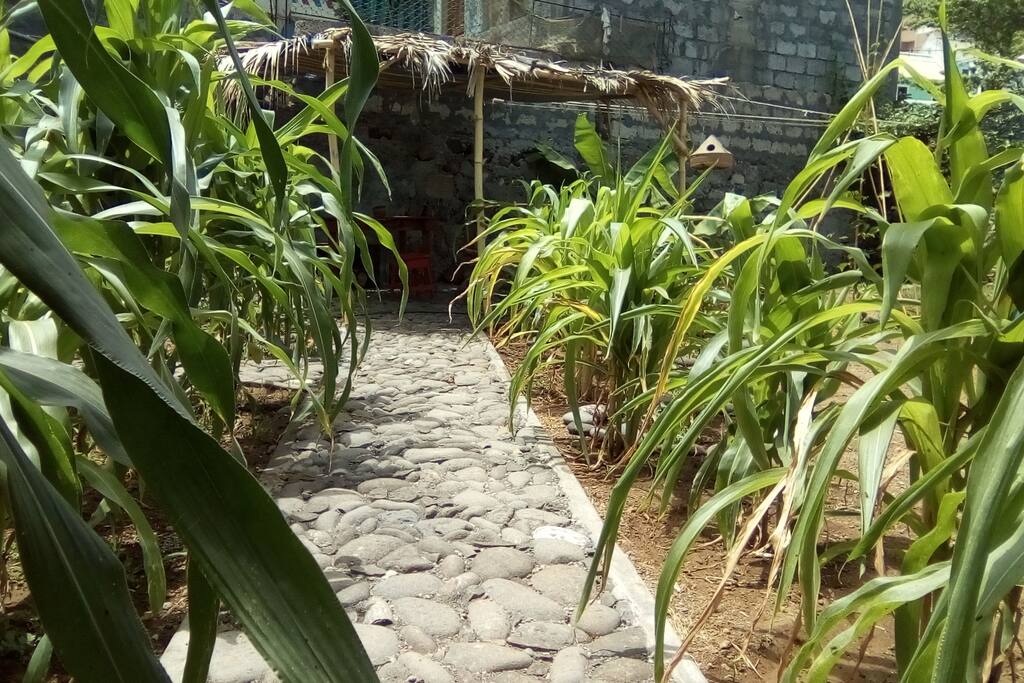 jardin attenant a l appartement