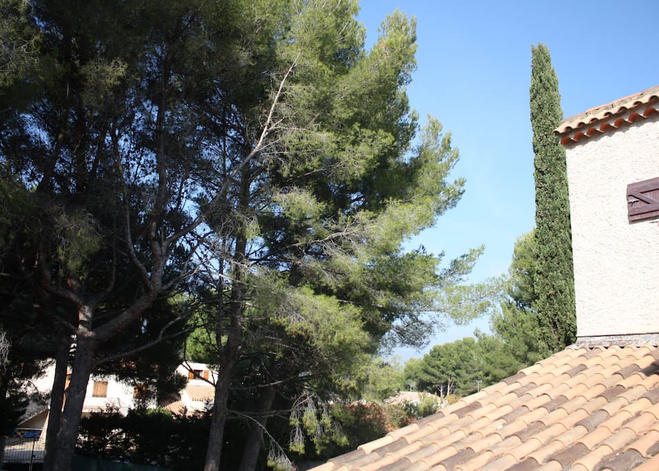 Ma maison en Provence !