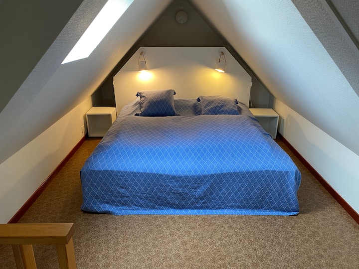 Na katu s bračnim krevetom i krovnim prozorom.