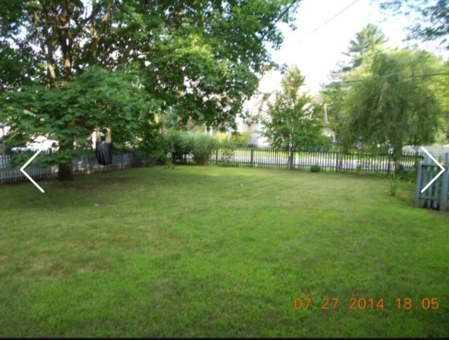 large tree lined yard