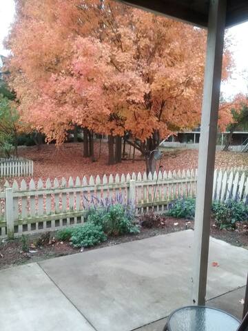 In the heart of Indianapolis,