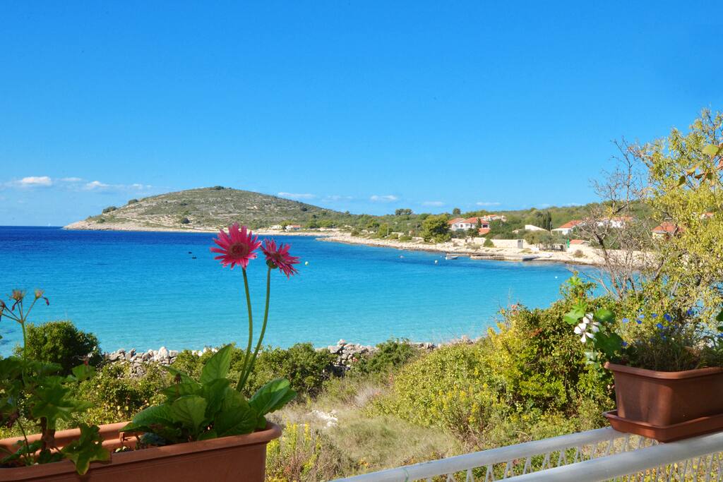 a view from our terrace