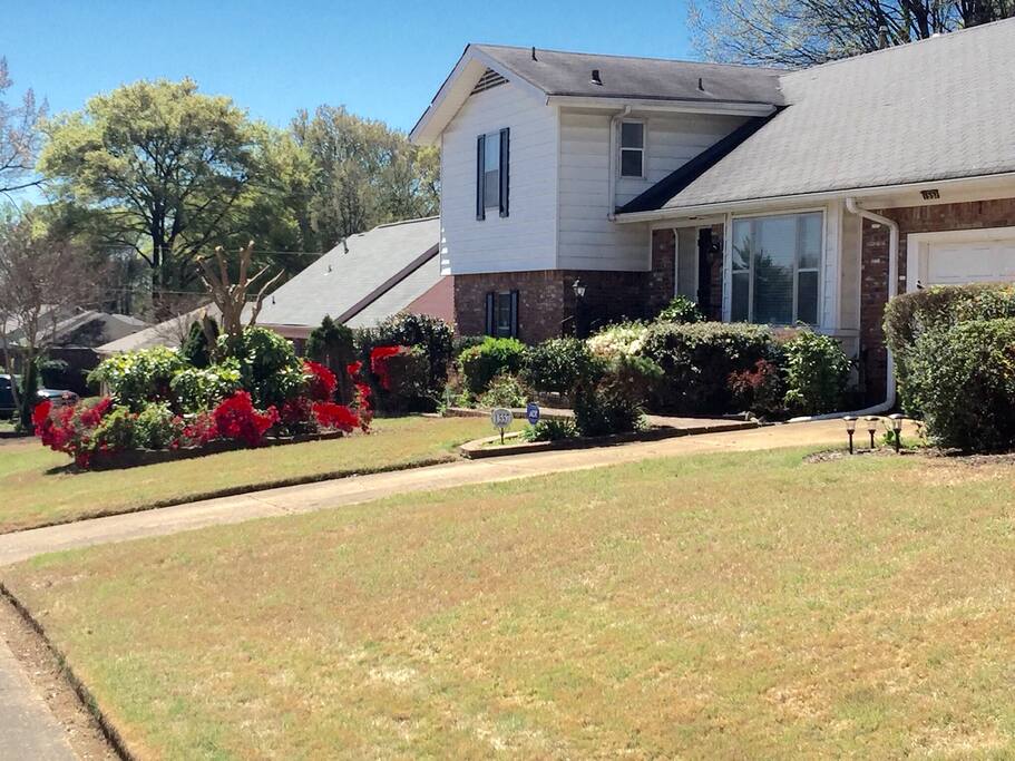 Awesome home, warm, cozy and inviting.