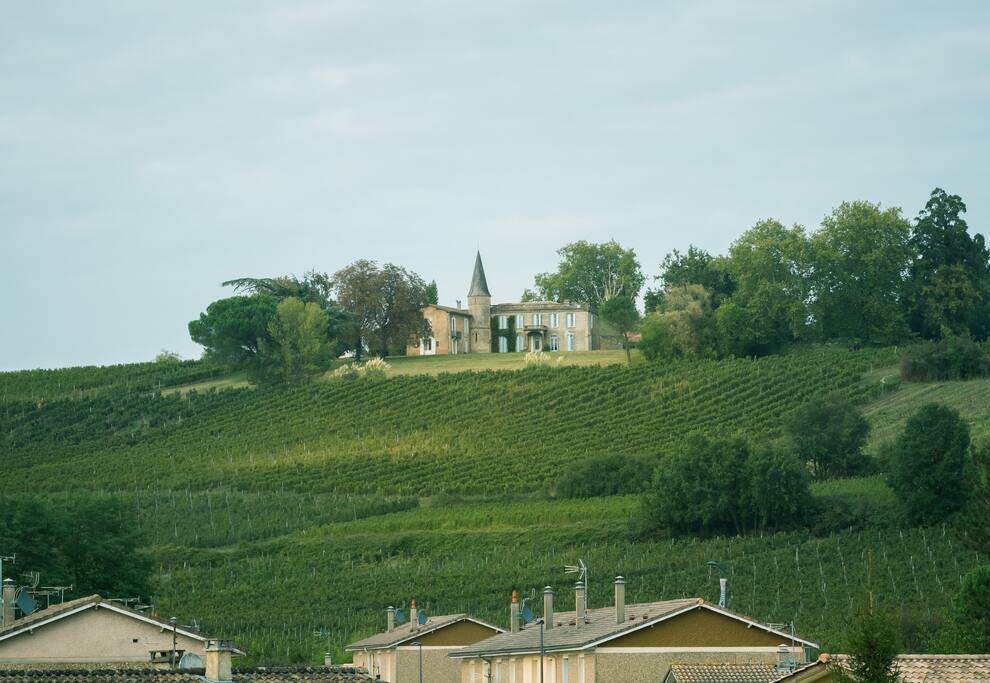 Le château vu du village de RIons