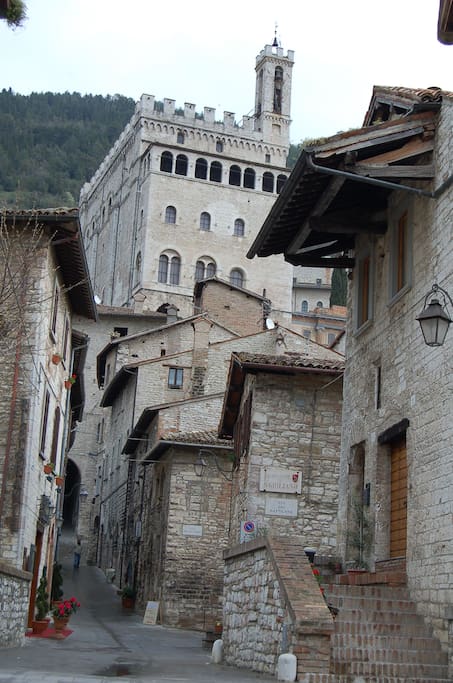 Via Piccardi