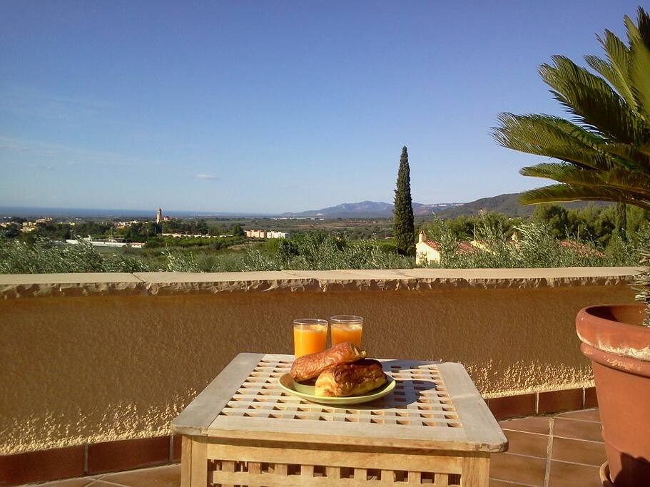 Terrace view