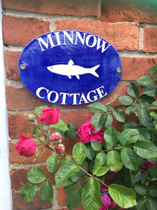 Can you find the Minnows at the secret water splash in the village?