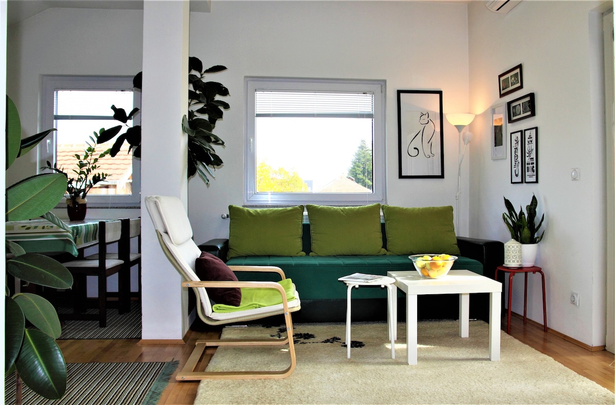 A bright living area features a green sofa complemented by decorative cushions. A small white table with a bowl of fruit sits on a light area rug. Potted plants enhance the space, while framed artwork adorns the walls. Natural light streams through the windows.