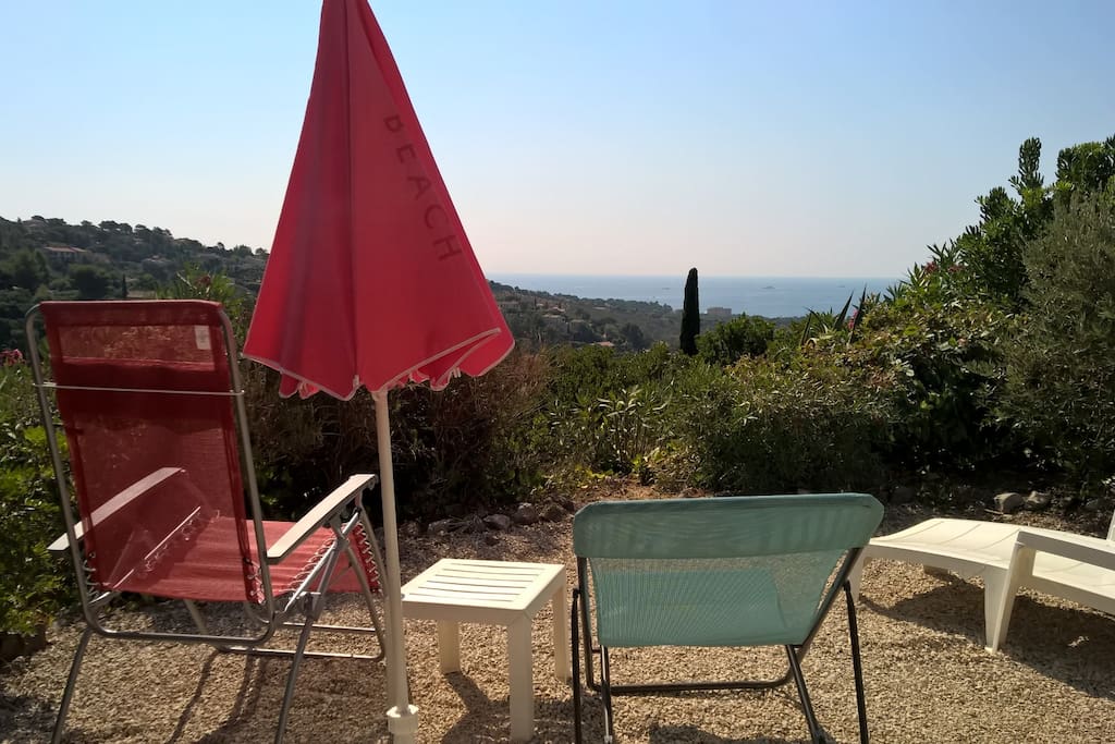 View from Garden