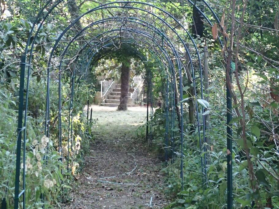 The Gardens