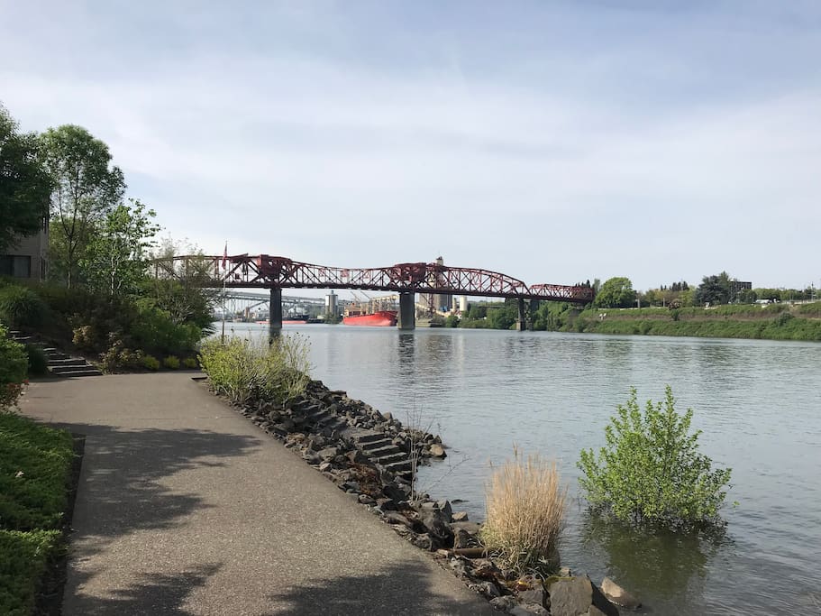 Greenway access all along Willamette River