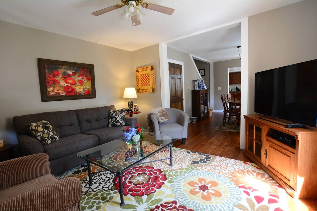 Come relax in the living room - 50" TV, DVR and wifi