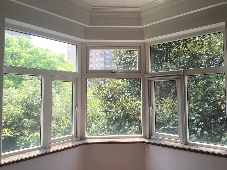 Great Window View