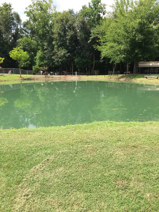 pond. fish r hard 2/ catch.