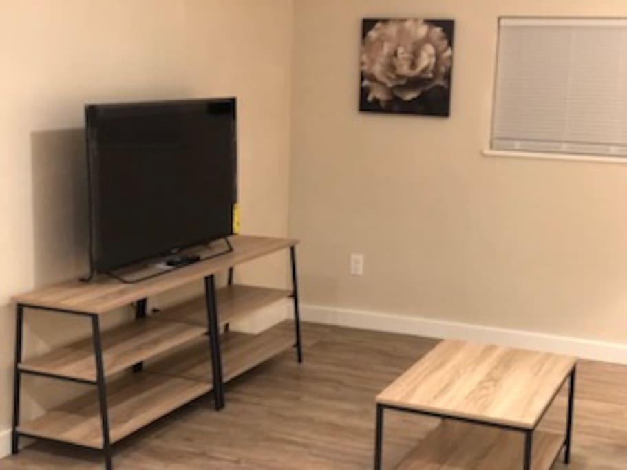 Living Room 50" Flat Screen