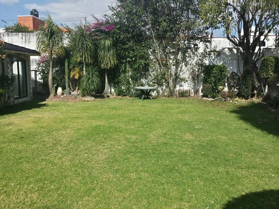 garden view