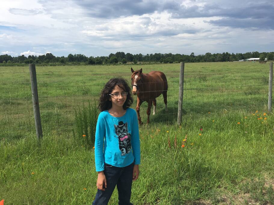 Elizbeth and the prince enjoying a summer day.