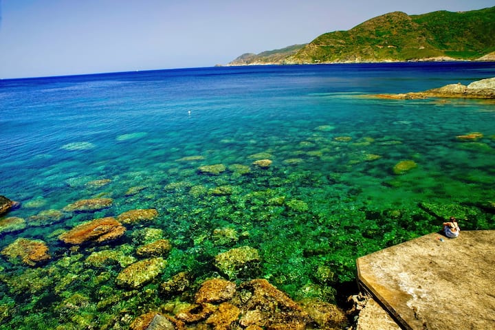 المنظر من غرف النوم