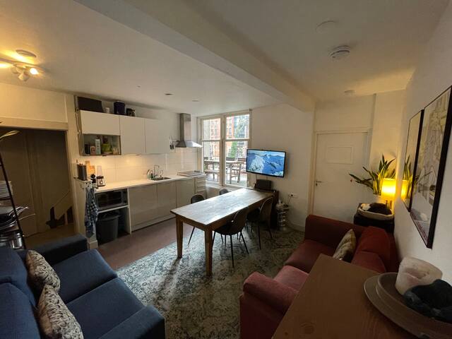 Spacious flat in the centre of Amsterdam + garden gallery image 4
