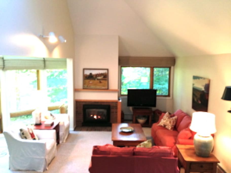 gas fireplace