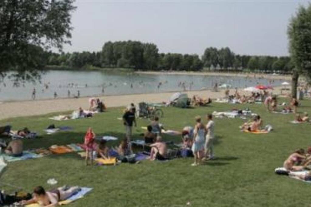 Rijkerswoerdse Plassen