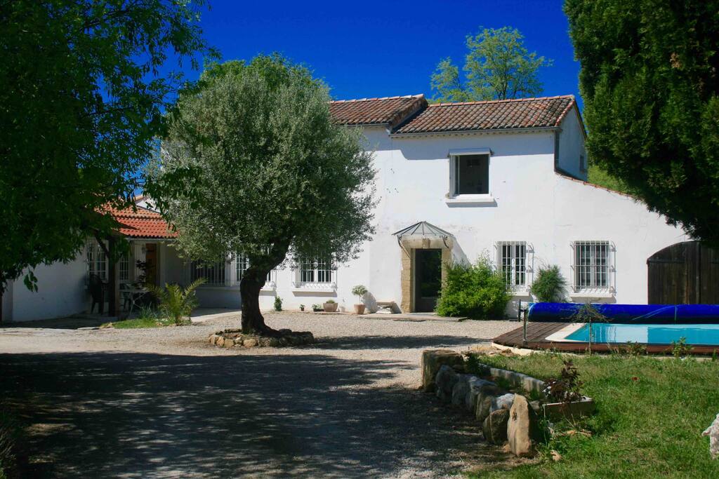 Maison de style Hacienda avec son olivier centenaire