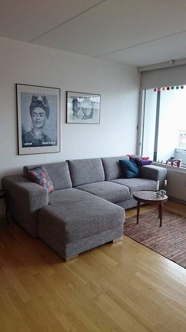 sofa area in the living room