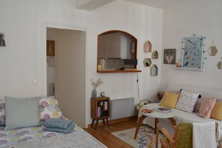 Grand et beau studio hypercentre Palais de justice