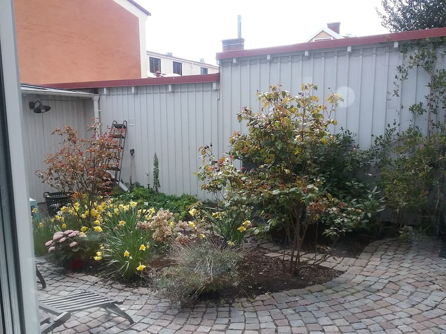 small garden