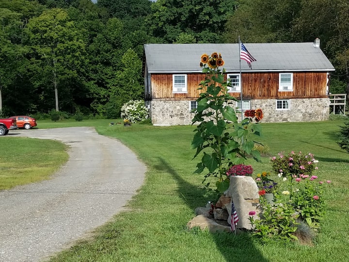Country living in southern tier Rm 5 Bed and breakfasts for Rent in