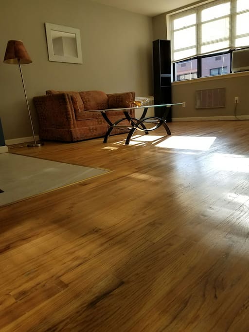 Living Room Area