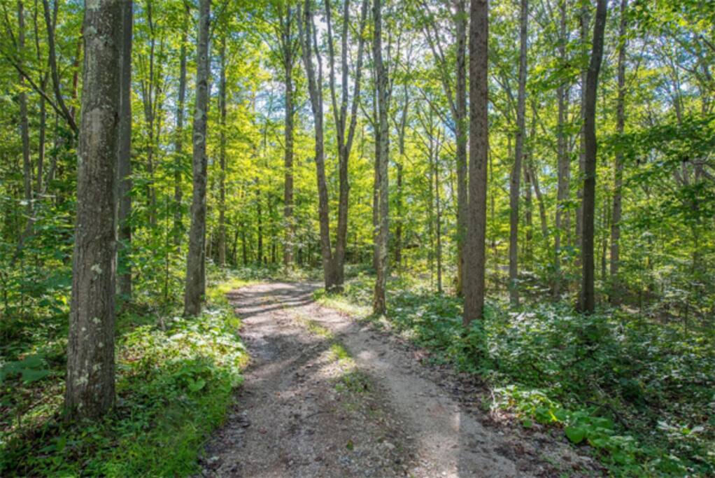 Driveway