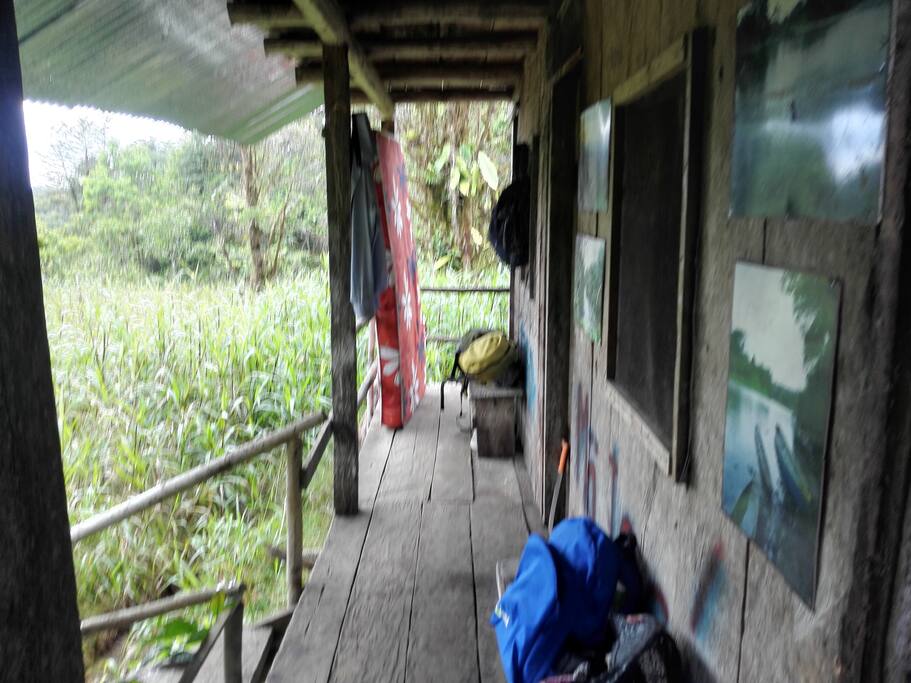 The cottage