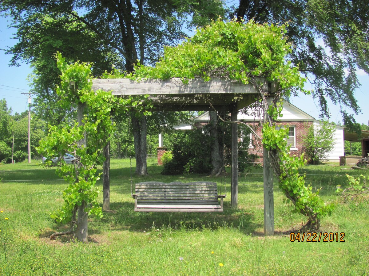Muscadine arbor for a respite in the orchared at The Farm at St. Florian in Saint Florian