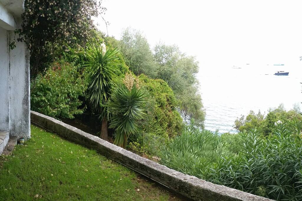 Sea view
