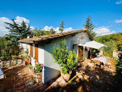 Cottages in Tuscany in ancient garden villa with garden