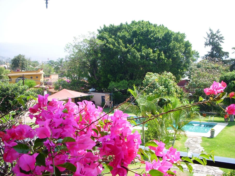 Vista de la piscina desde la terrazaAlberca y casa al fondo