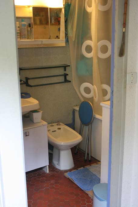 Salle de bain avec baignoire