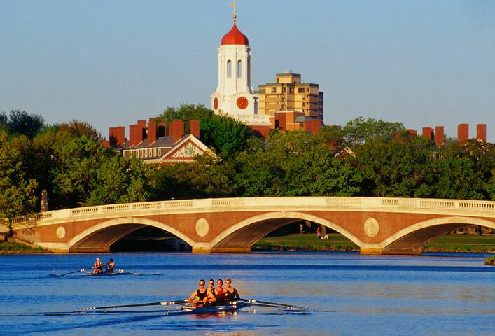 4BR 3BA Cambridge Oasis – Harvard/MIT/Boston gallery image 5