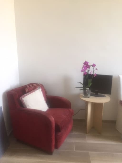 sofa bed and tv