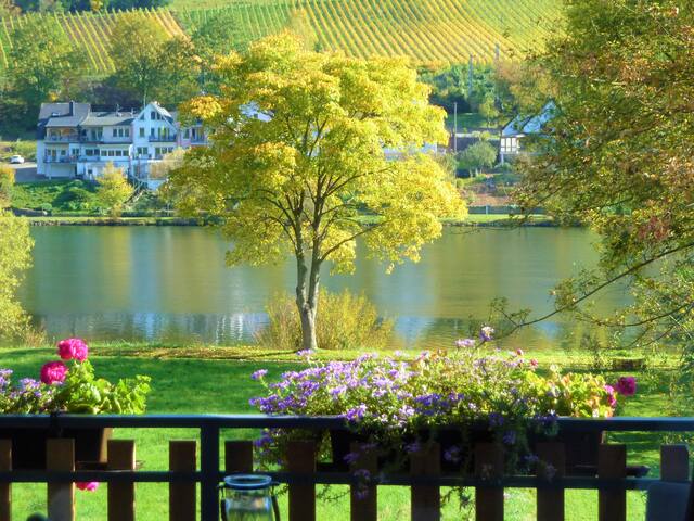 60sqm directly on the Mosel, 2 balconies, Moselwiese