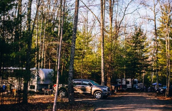 A serene campsite is framed by tall trees, with RVs parked in designated spots. A gravel path runs through the area, leading to additional camping sites. The landscape is dotted with greenery, creating a natural and tranquil setting for outdoor experiences.