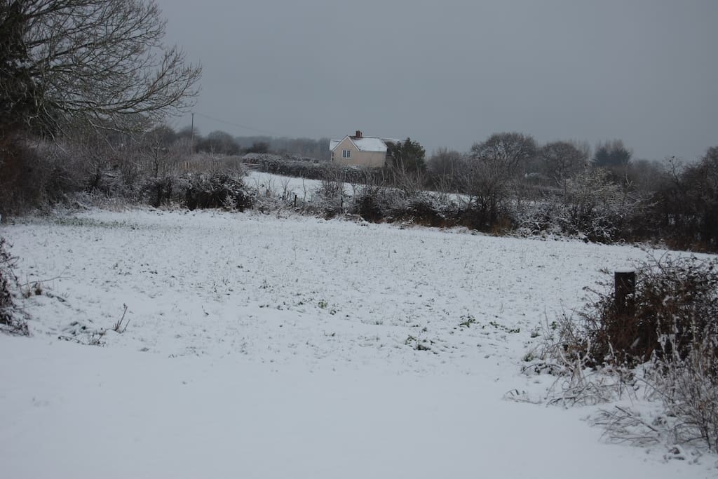 Across the field in winter