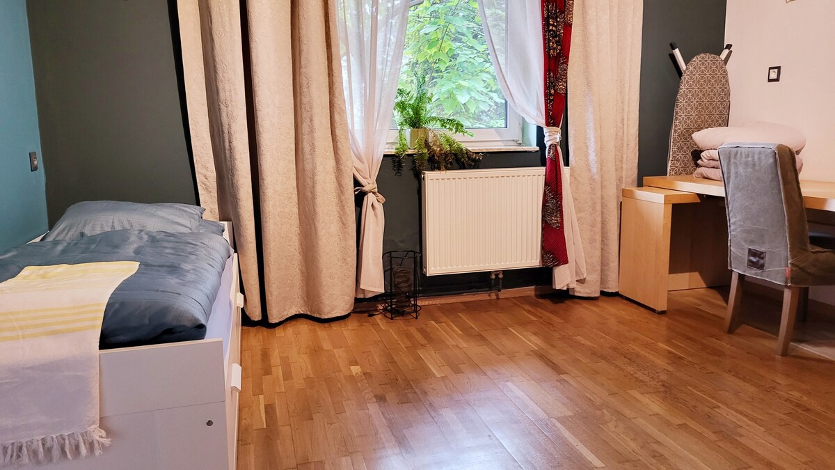 Ოთახი 3 - 1 საწოლი, რომელიც გარდაიქმნება ორადგილიან საწოლად.