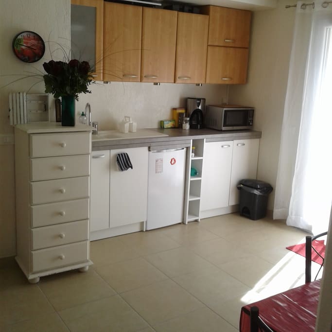 Cuisine toute équipée avec plaques de cuissons, micro-ondes, four, cafetière, frigo.