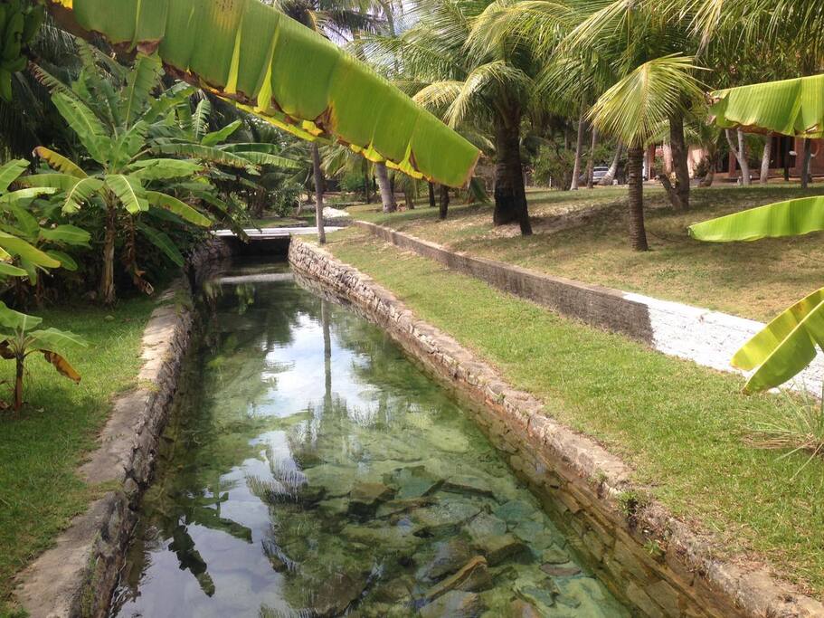 Muita natureza