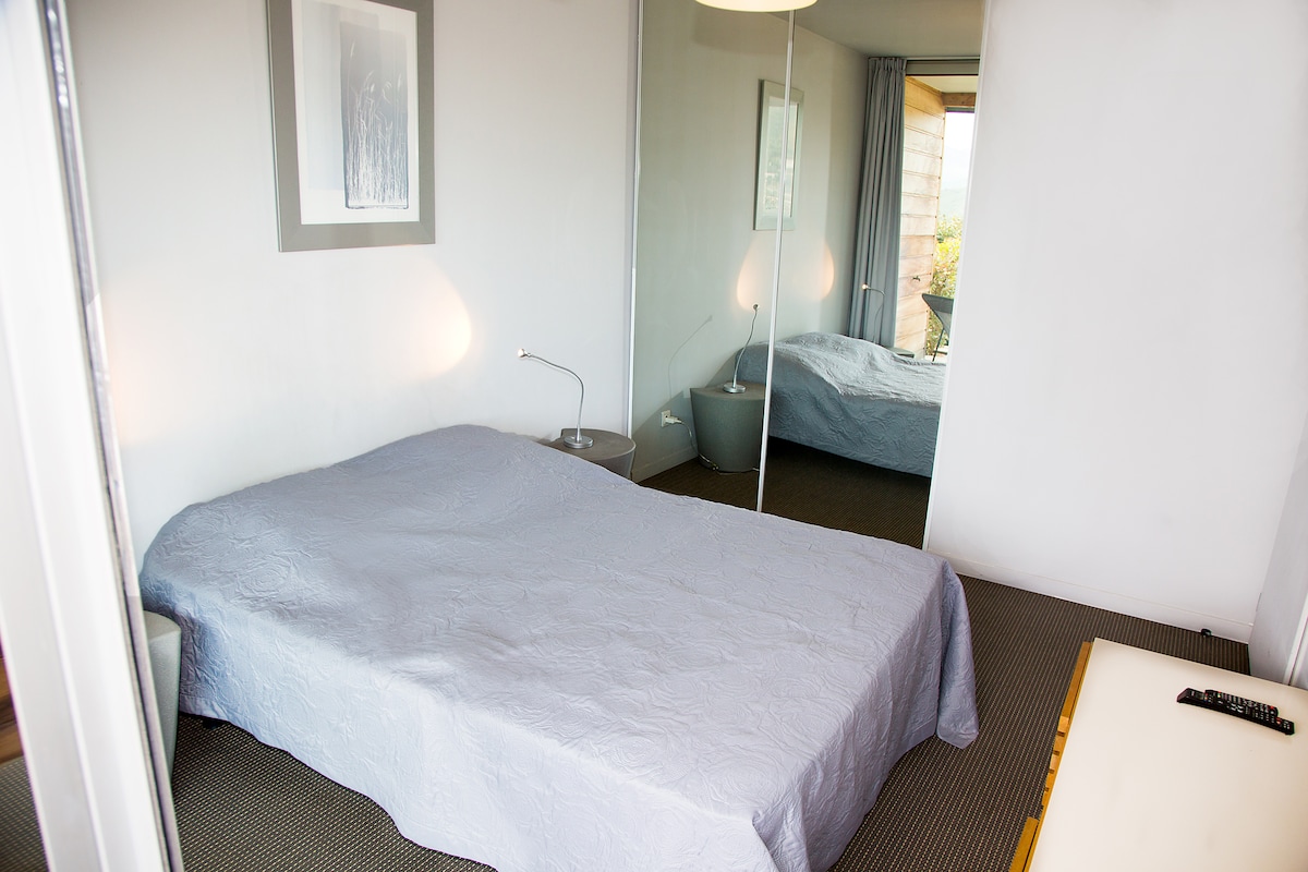 1号卧室+镜子后面的更衣室