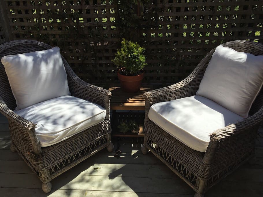 Intimate vine covered courtyard, the perfect place for a pre dinner drink !