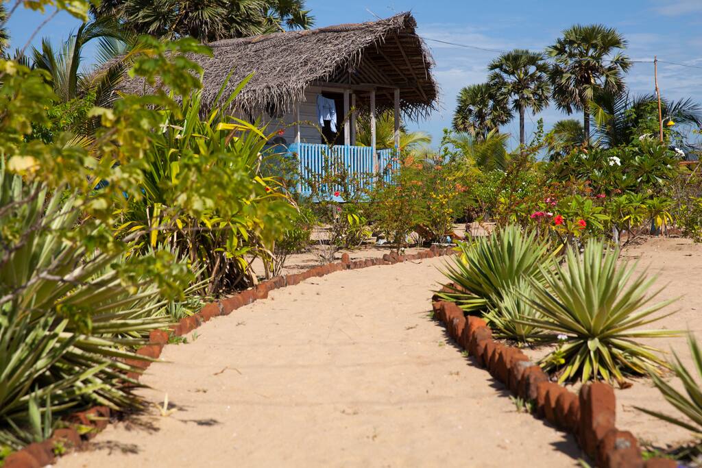 Tired of surfing? welcome home