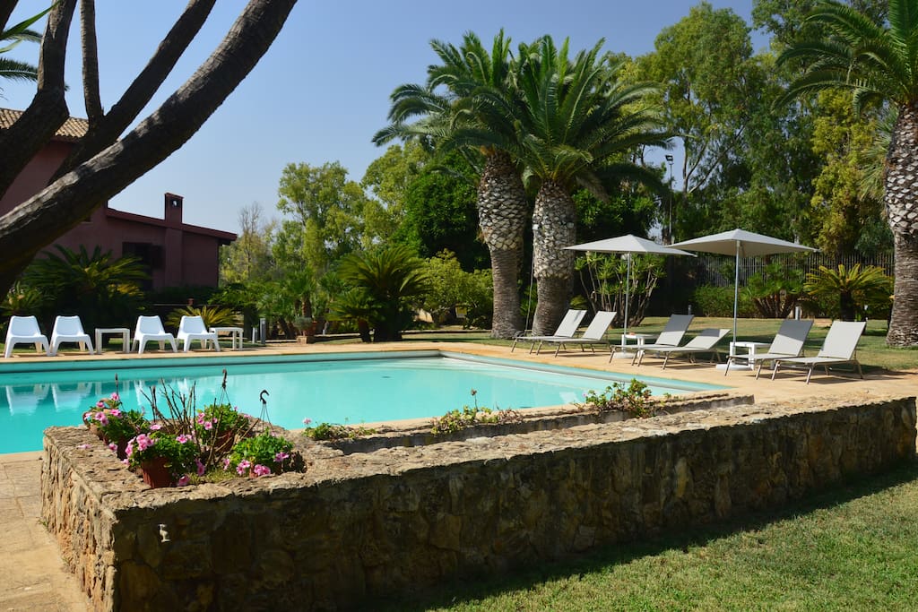 The pool